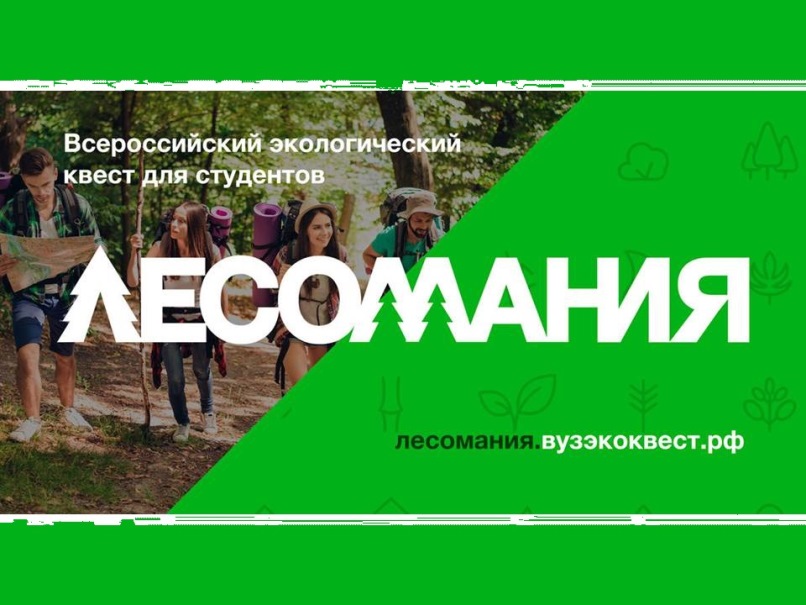 Студенты Рубцовского института снова одержали победу во Всероссийском квесте "Лесомания"!